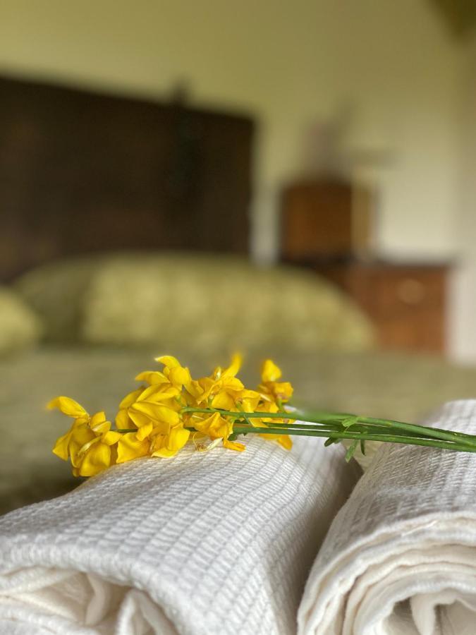 Cascina Boschetto Bed and Breakfast Saliceto Eksteriør billede