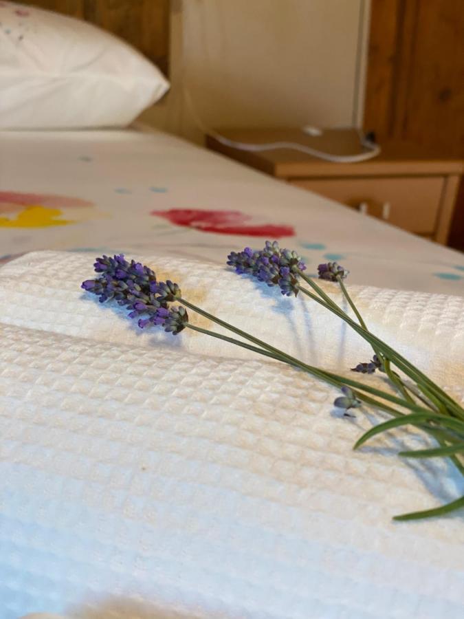 Cascina Boschetto Bed and Breakfast Saliceto Eksteriør billede