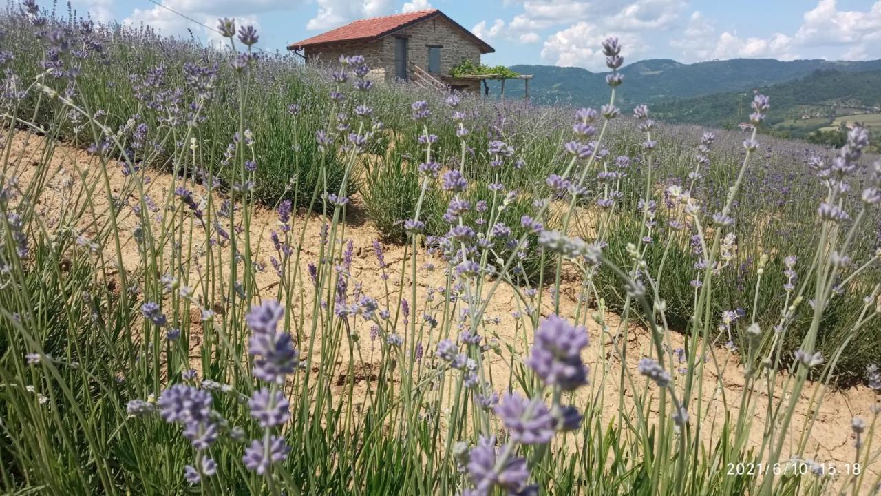 Cascina Boschetto Bed and Breakfast Saliceto Eksteriør billede