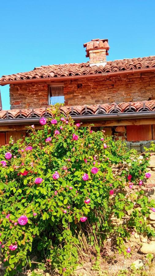 Cascina Boschetto Bed and Breakfast Saliceto Eksteriør billede