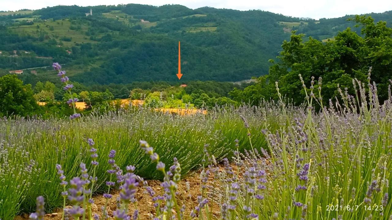 Cascina Boschetto Bed and Breakfast Saliceto Eksteriør billede