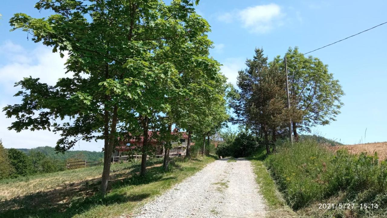 Cascina Boschetto Bed and Breakfast Saliceto Eksteriør billede