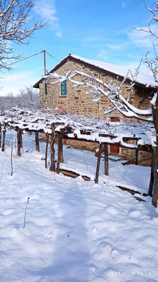 Cascina Boschetto Bed and Breakfast Saliceto Eksteriør billede